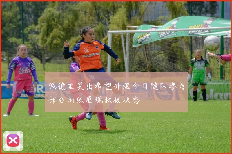 佩德里复出希望升温今日随队参与部分训练展现积极状态